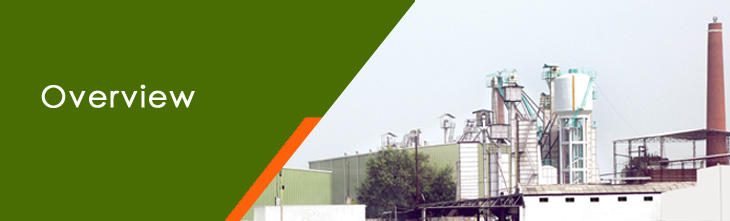 basmati rice exporters