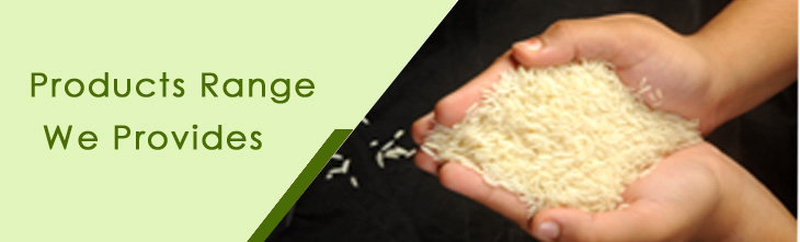 indian basmati rice